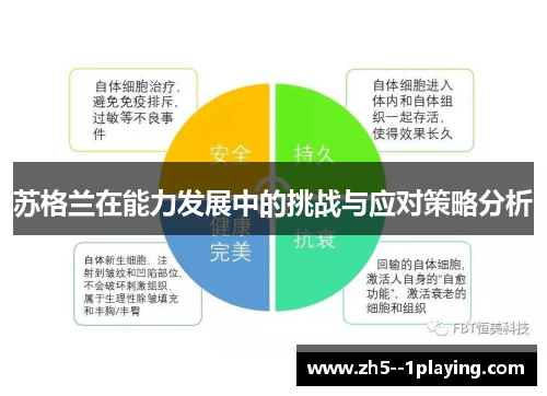 苏格兰在能力发展中的挑战与应对策略分析 苏格兰在能力发展中的挑战与应对策略分析